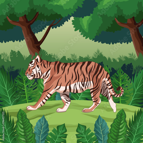 Tiger in the jungle vector illustration graphic design
