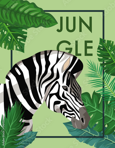 Zebra in the jungle vector illustration graphic design