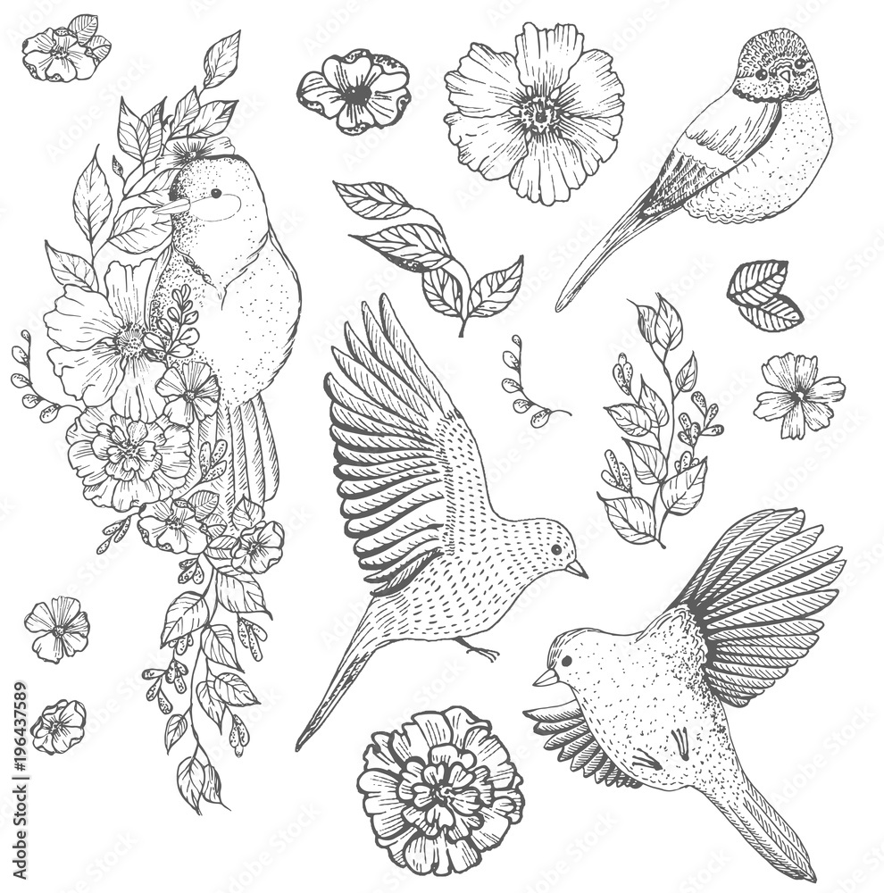 Set of of birds and flowers Set of of birds and flowers
