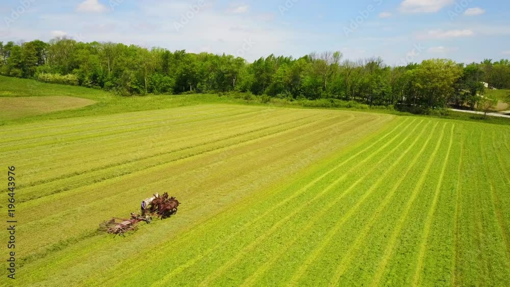 A beautiful aerial of Amish farmers tending their fields with horse and plow.
