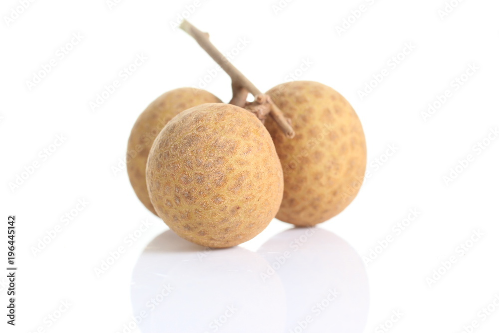 Dimocarpus longan, is a that produces edible fruit. Dimocarpus longan, is a that produces edible fruit.