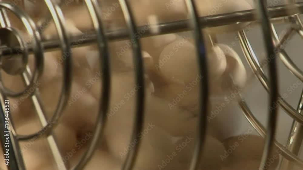 White balls turn in a bingo cage.