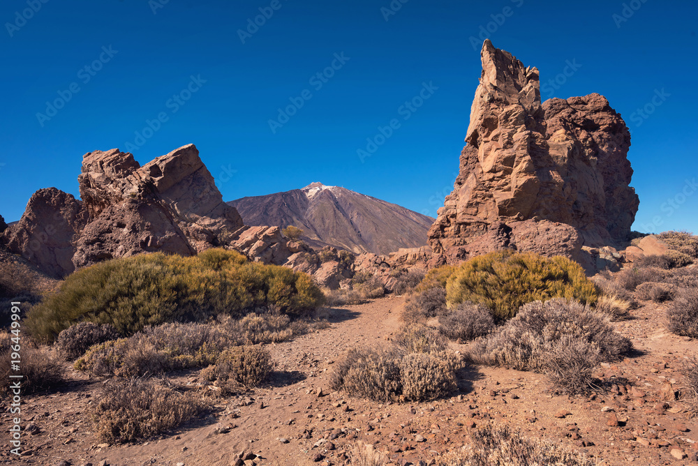 Teide national park on a sunny day Tenerife, Canary islands, Spain.