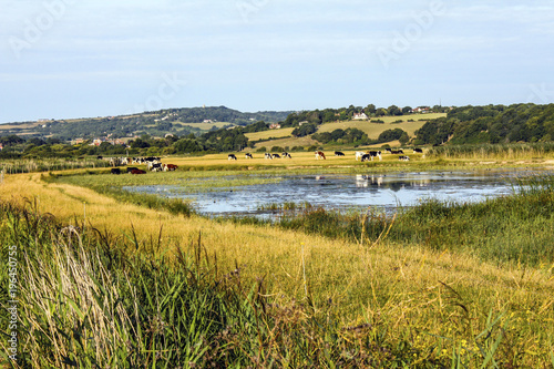 View of the Colonel Body Lakes on Romney Marsh, East Sussex, England