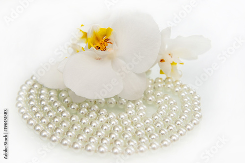 Fototapeta Naklejka Na Ścianę i Meble -  pearl and white orchid on a white glass 