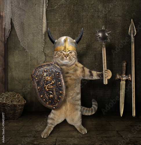 The cat in a viking helmet holds a mace and a shield. He is in the armory room.