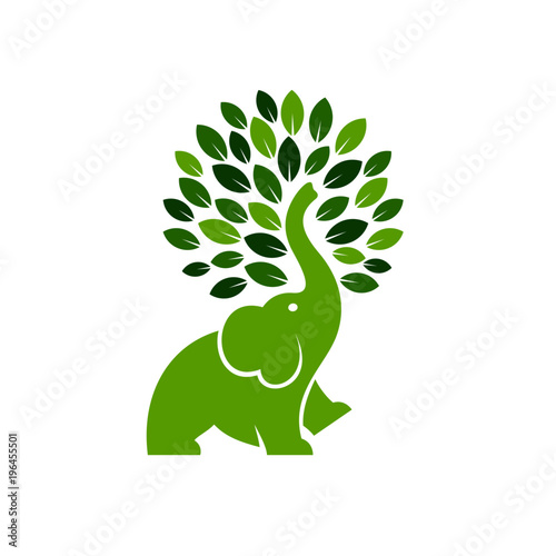 Elephant Logo Templates