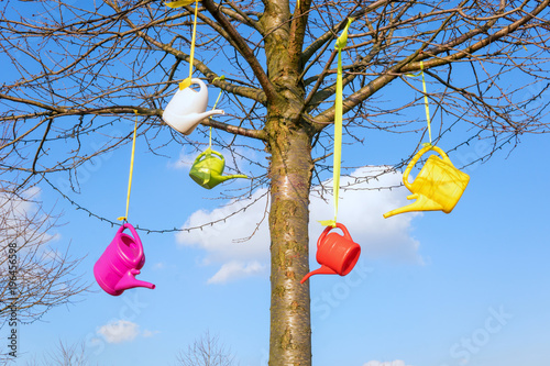 Bunte Gießkannen hängen am Baum