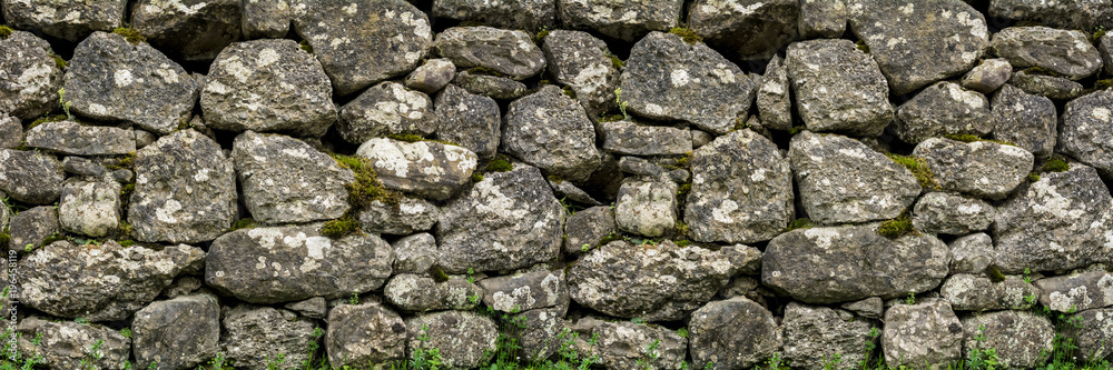 Natural stone wall with green vegetation, small flowers and moss