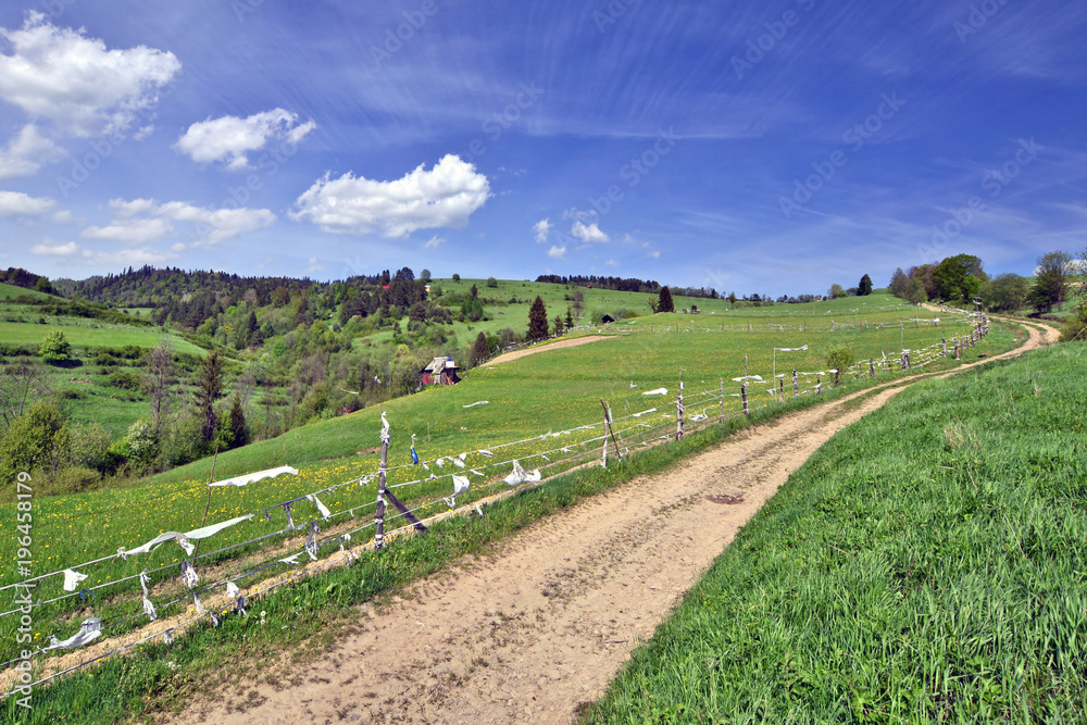 Dirt road and fence among meadow on springtime in mountains landscape
