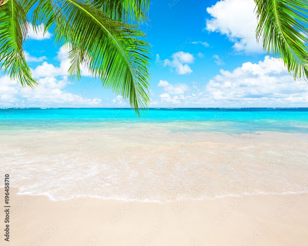 Coconut palm trees and blue sky and sea Coconut palm trees and blue sky and sea