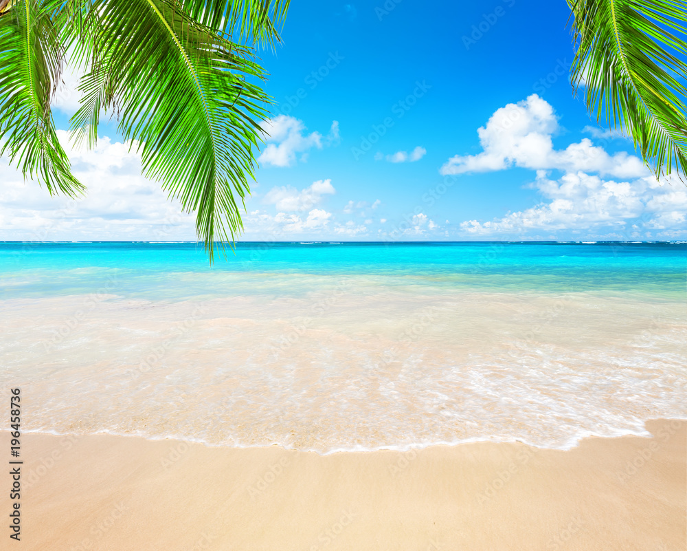Coconut palm trees and blue sky and sea - obrazy, fototapety, plakaty 