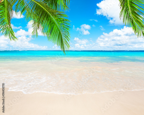 Coconut palm trees and blue sky and sea © preto_perola