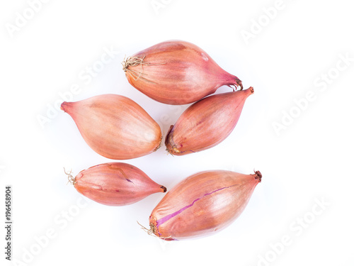 shallots onion on white background, bulbs, top view