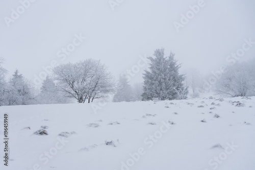 Winterlandschaft