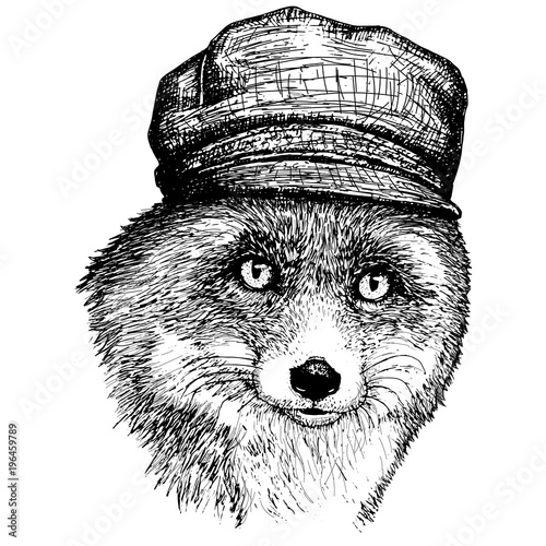 Vector fox in a hat and Hand drawn illustration of dressed fox.