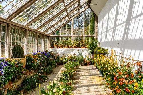 Greenhouse with flowers in guernsey