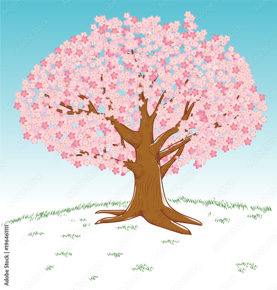 Vecteur Stock 手描き風イラスト 満開の桜の木 ソメイヨシノ 春のイメージのイラスト Adobe Stock