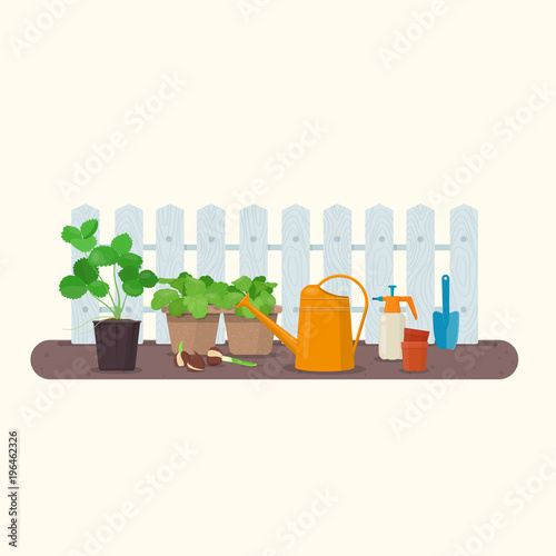 Young seedlings in peat pots and gardening tools. Working in the spring garden. Vector illustration 