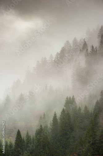Bosco nella nebbia mattutina nei pressi del comune di Tarvisio © Giacomo Ciangottini