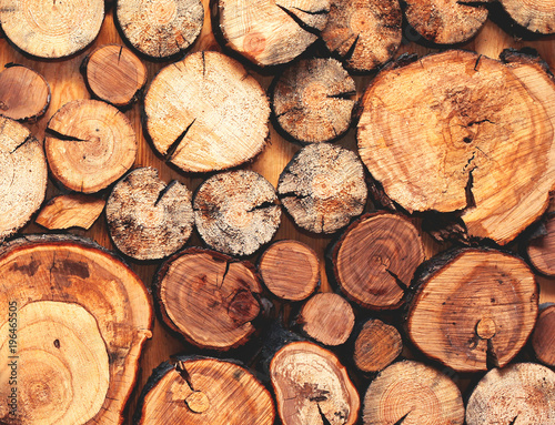Wooden sawn logs closeup  texture background