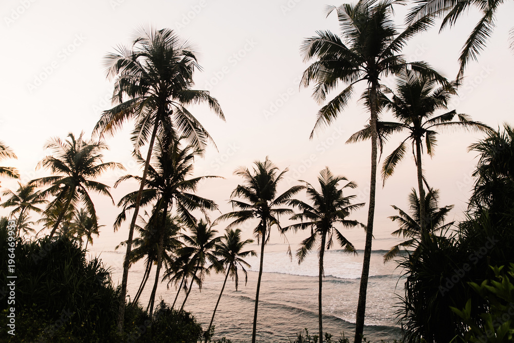 Naklejka premium Sunset on the Sri Lanka beach