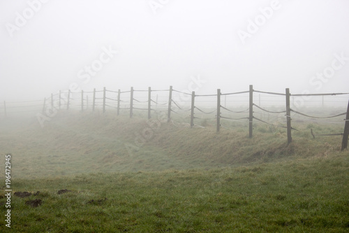 fence and fog