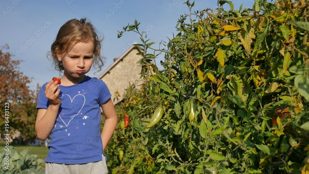 The baby is eating a tomato and squinting from the summer sun. Healthy Eating The baby is eating a tomato and squinting from the summer sun. Healthy Eating