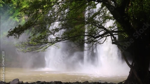 Landscape of waterfall areas captured with a tree in the foreground and huge waterfall in the background.