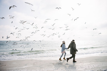 young couple holding hands and walking on winter sea shore and looking at seagulls