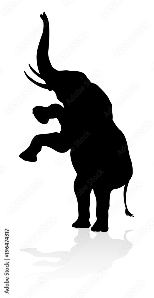 Fototapeta premium Elephant Animal Silhouette