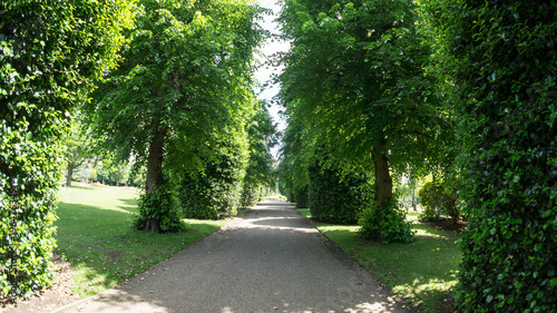 Vászonkép Tree lined path in Grosvenor Park Chester