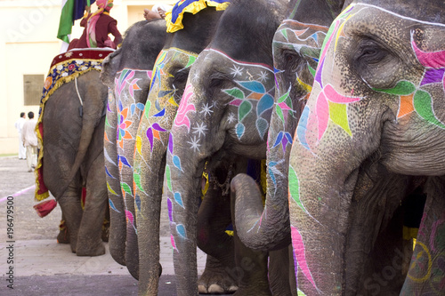 colorful elephant , festival , Jaipur, Rajasthan, India