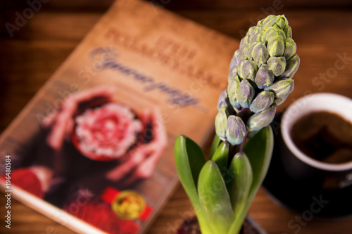 Young flower hyacinth in a bud next to book and cuo of coffe on a wooden background photo