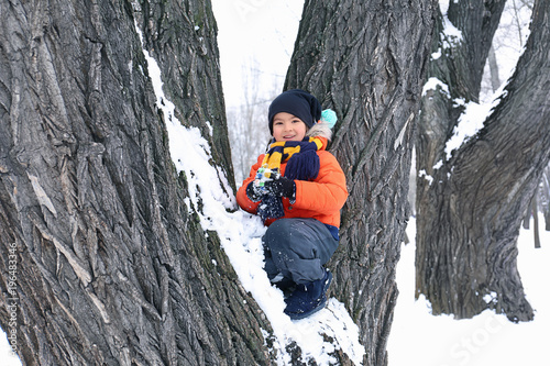 Cute boy on tree in snowy park on winter vacation