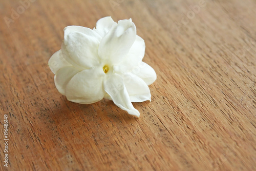 White jasmine flower blooming on wood background