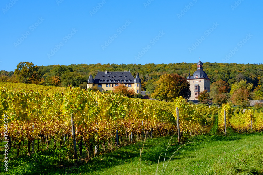 Schloß Vollrads im Rheingau Schloß Vollrads im Rheingau