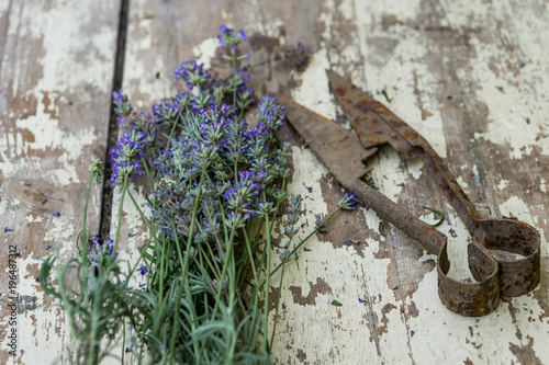 Close-up of bunch lavender on a white rustic table. Concept nostalgia and vintige style. Shallow depth of focus. photo