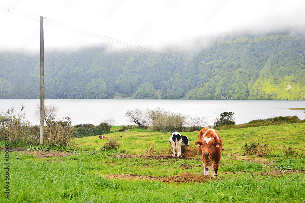 Fototapeta premium Sete Cidades Lakes, Açores, Portugal