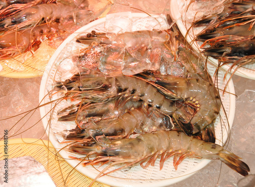 ブラックタイガー