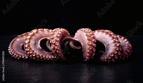 Octopus Krake  Tentakel Seafood