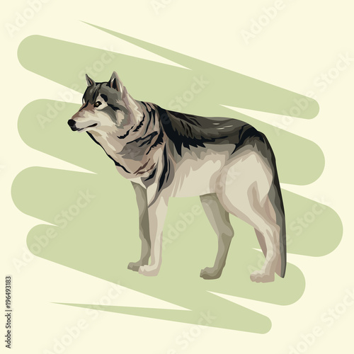 Wolf art drawing vector illustration graphic design