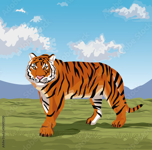 Beautiful tiger on nature vector illustration graphic design
