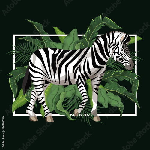 Zebra with leaves around vector illustration graphic design