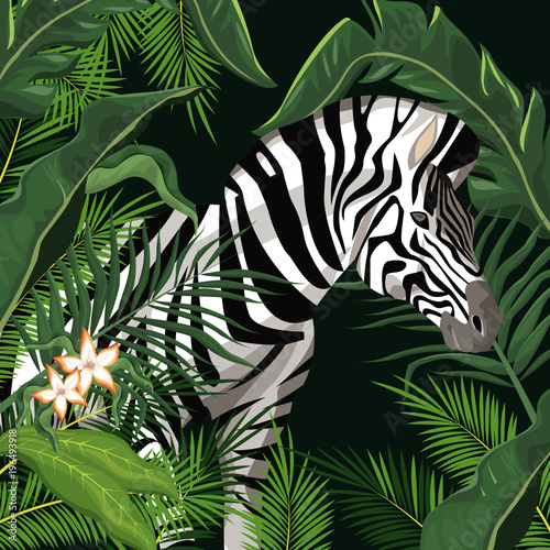 Zebra with leaves around vector illustration graphic design