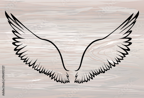Wings. Vector illustration on wooden background. Black and white