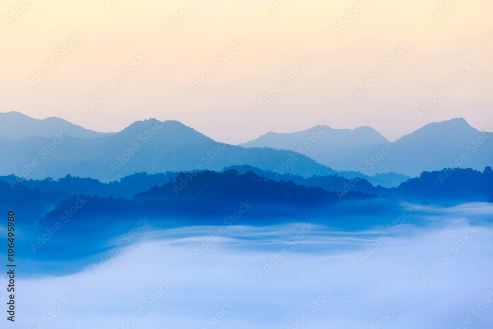 morning fog in dense tropical rainforest, kaeng krachan, thailand