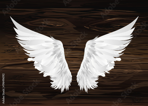 Wings. Vector illustration on wooden background. Black and white