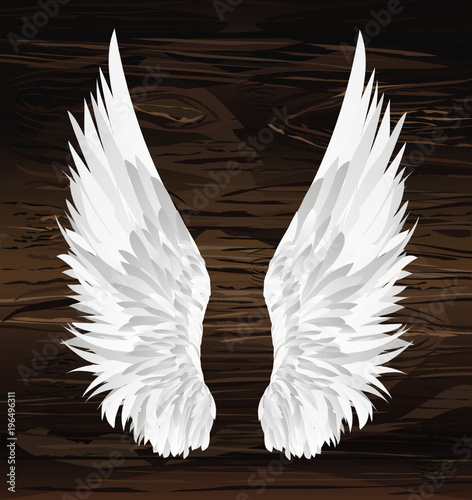 Wings. Vector illustration on wooden background. Black and white