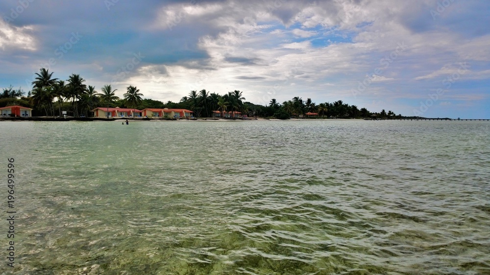 Blue sky and clouds over a beautiful tropical beach with green palm trees. Cayo Guilermo , Cuba